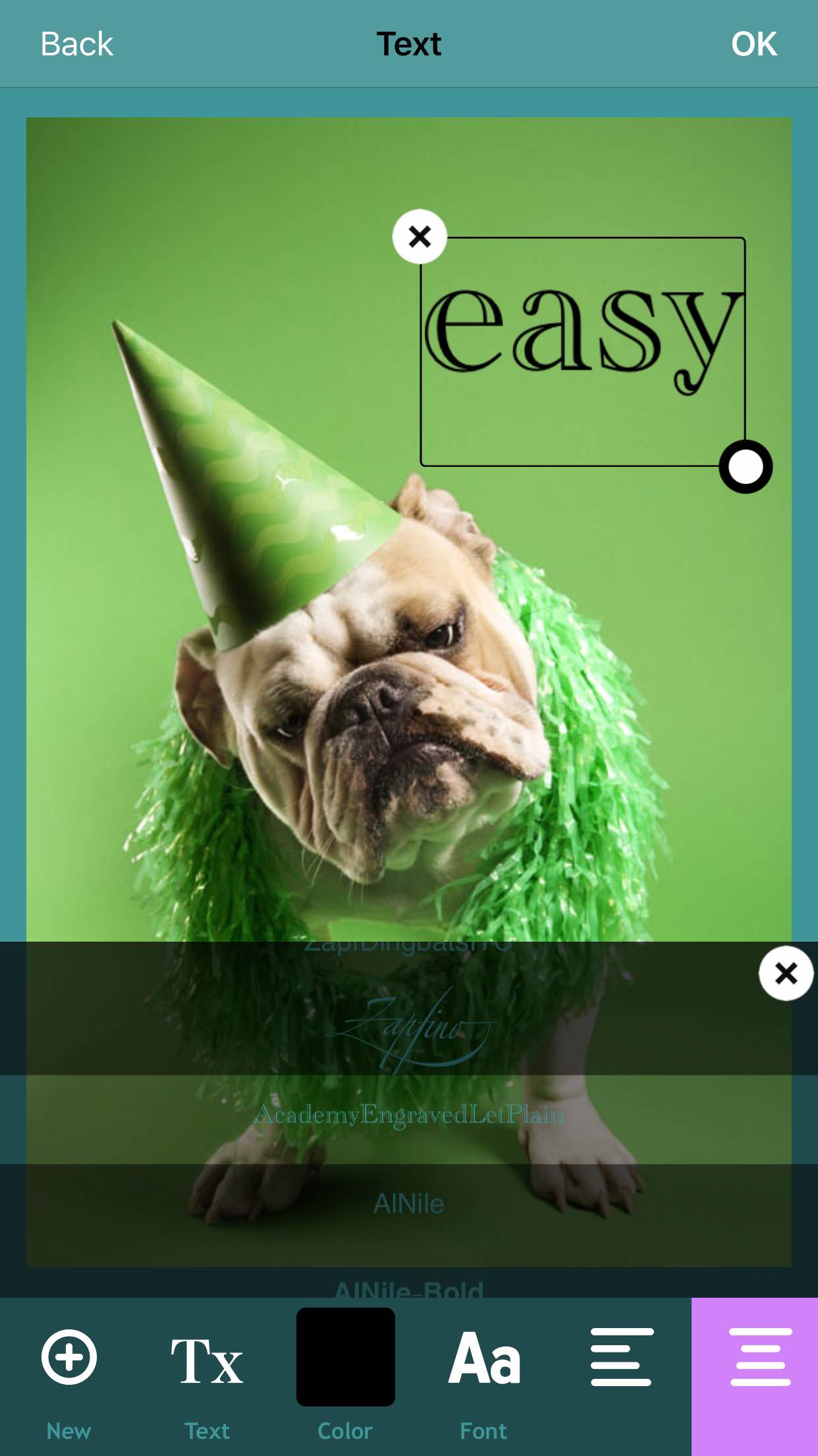 Easy Picture Editing | easy-to-use image editor that can enhance your ...